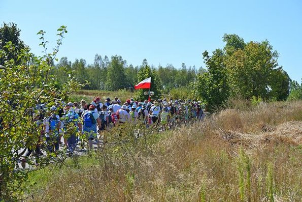 43 (Copy)